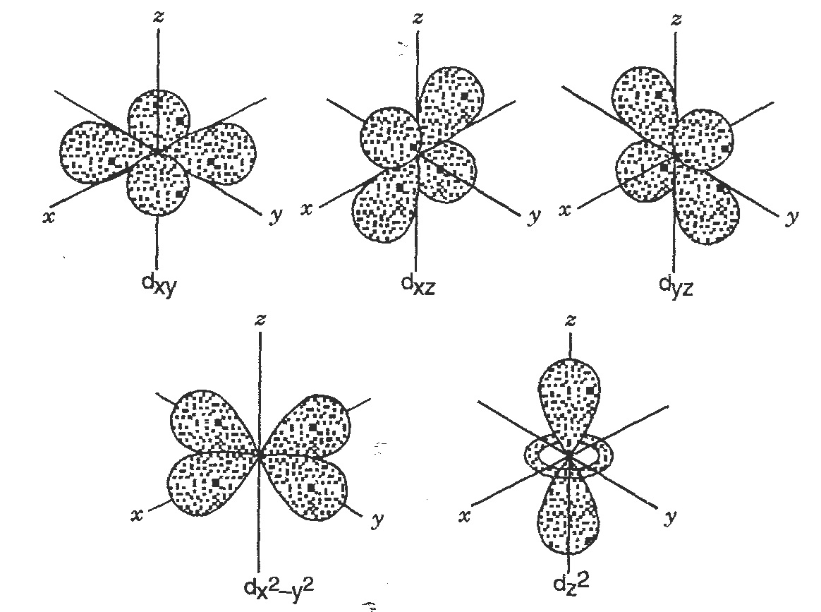 Shape Of Atomic Orbitals Km Chemistry