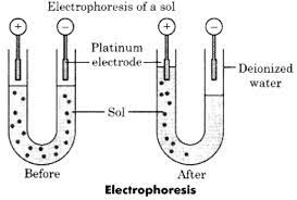 Electrophoresis - Km Chemistry